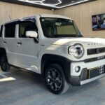 スズキ ハスラー コーティング後の全体画像